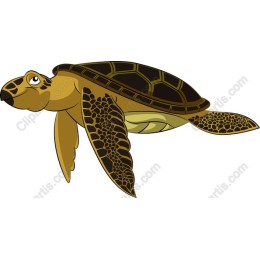 Charming Sea Turtle