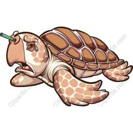 Distressed Turtle