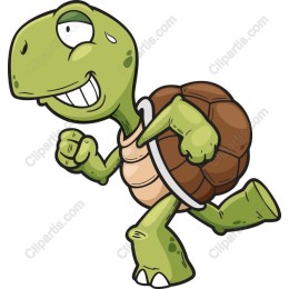 Charming Cartoon Turtle