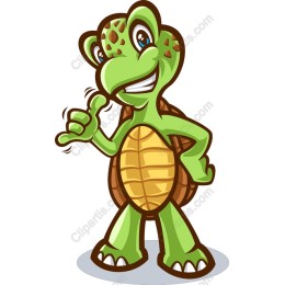 Playful Turtle Character