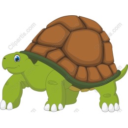 Charming Cartoon Turtle