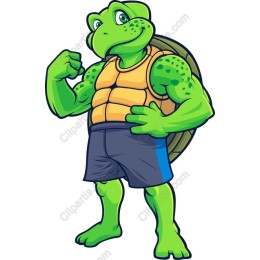 Muscle Turtle