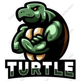 Muscular Turtle