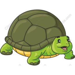 Charming Cartoon Turtle