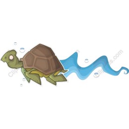 Playful Turtle