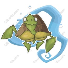 Whimsical Turtle