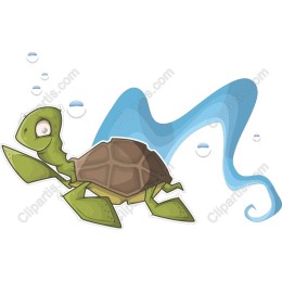 Whimsical Turtle