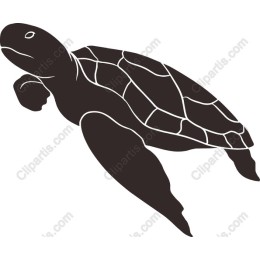 Majestic Sea Turtle