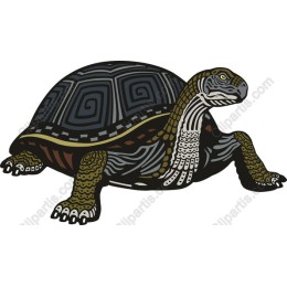 Artistic Tortoise