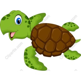 Cute Cartoon Turtle