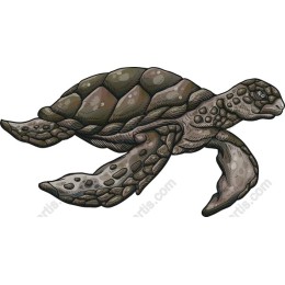Sea Turtle - Eco-Friendly