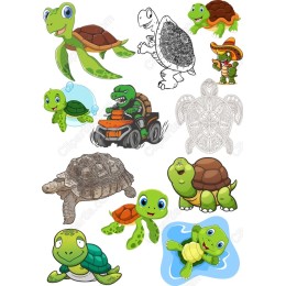 Turtle Bundle - Cute Clipart Set