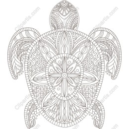 Ornate Turtle