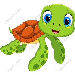 Adorable Turtle