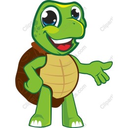 Cheerful Turtle