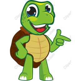 Cheerful Cartoon Turtle