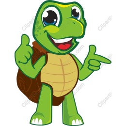 Cheerful Turtle