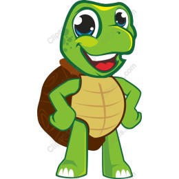 Friendly Cartoon Turtle