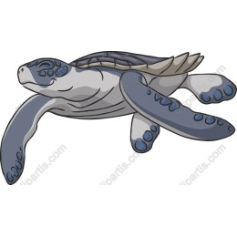 Ocean Serenity: Sea Turtle