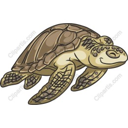 Cheerful Turtle