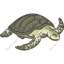 Serene Sea Turtle