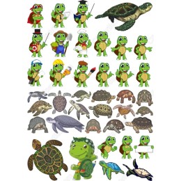 Charming Turtle Bundle