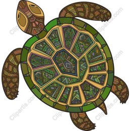 Intricate Turtle