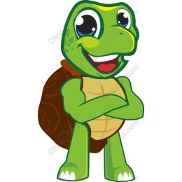 Charming Cartoon Turtle