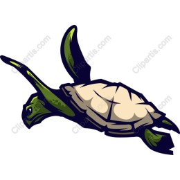 Majestic Turtle