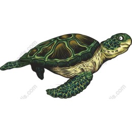 Majestic Sea Turtle