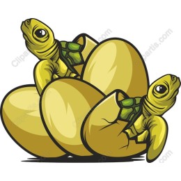 Hatching Turtles