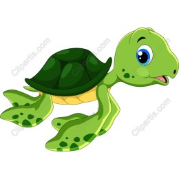 Playful Cartoon Turtle