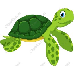 Playful Green Turtle