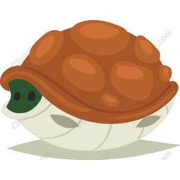 Whimsical Turtle