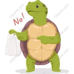 Eco-Friendly Turtle
