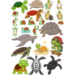 Turtle Bundle: Adorable