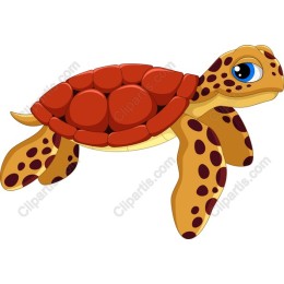 Adorable Cartoon Turtle