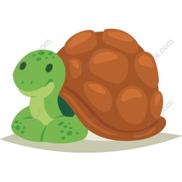 Adorable Turtle