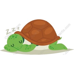Sleepy Turtle