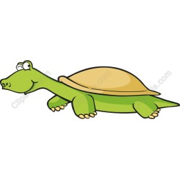 Charming Cartoon Turtle