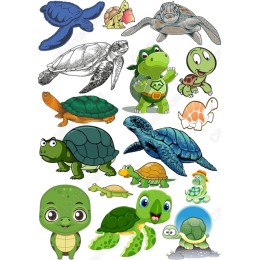 Turtle Clipart Bundle - Adorable