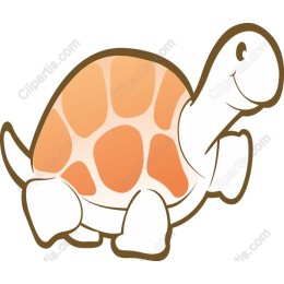 Cheerful Turtle