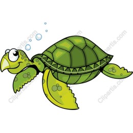 Cheerful Cartoon Turtle