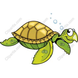 Cheerful Cartoon Turtle