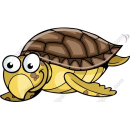 Charming Cartoon Turtle