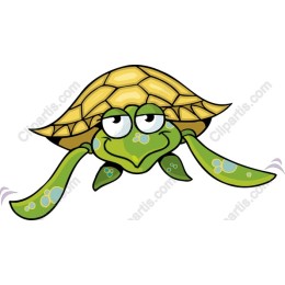 Playful Smiling Turtle
