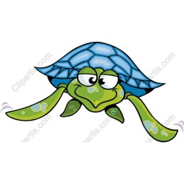 Charming Cartoon Turtle