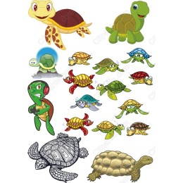 Turtle Paradise Set