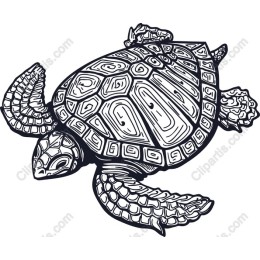Majestic Turtle