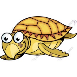 Cute Cartoon Turtle